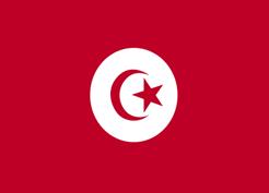 Доклад по теме Тунис: жемчужина северной Африки