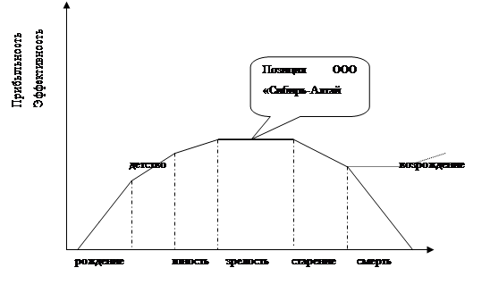 Дипломная работа: Анализ объема и структуры услуг предоставляемых ООО Сибирь-Алтай