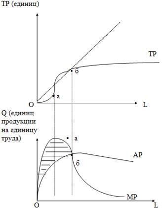 Дипломная работа: Анализ производства и реализации продукции СПК Скуратовский
