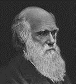 Реферат: Основные факторы эволюции по Дарвину