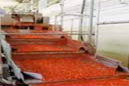 Курсовая работа: Расчет вакуум-выпарной установки по производству томатной пасты