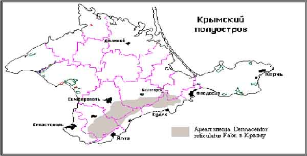 Курсовая работа: Видовой состав трутовиковых грибов окрестностей г. Чернигова