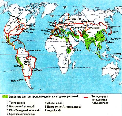 Шпаргалка: Шпаргалки по географии мирового хозяйства